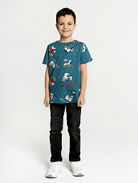 Детская футболка для мальчика "Флаффи" арт. дк241п